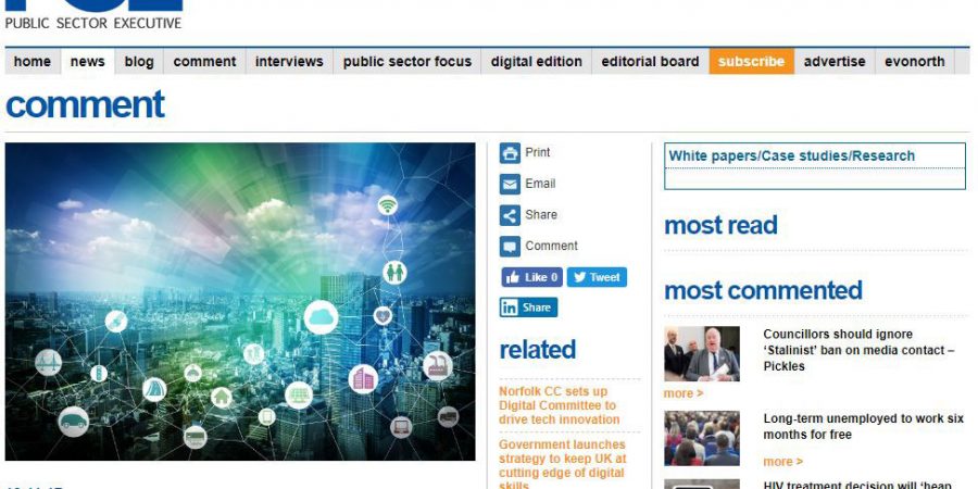 Public Sector Executive webpage snapshot